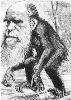 Caricature of
Charles Darwin