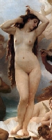 The Birth of Venus 
by Bougereau
Fragment