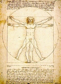 Proportions of human body
Drawing by Leonardo da Vinci