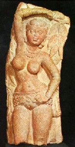 Yakshi holding a branch
(yellow sandstone)
Matura art