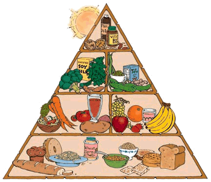 Vegan Pyramid
Notice the jar of vitamin B12 in the top